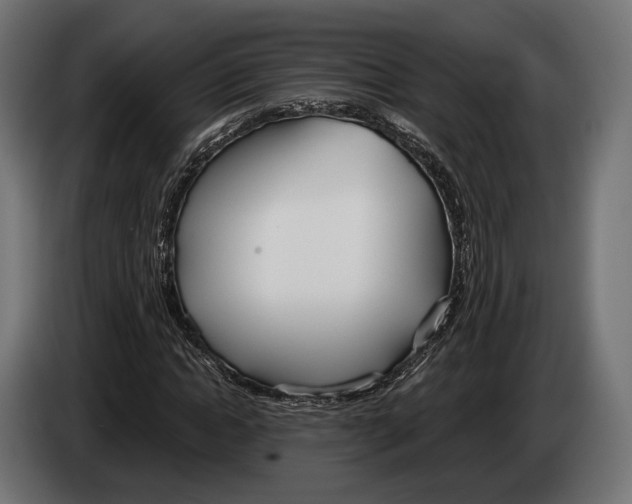 X0000083530822200703021550