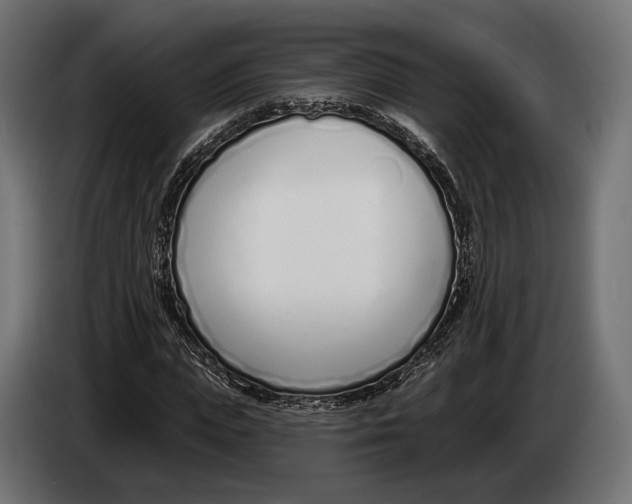 X0000083530823200703021550