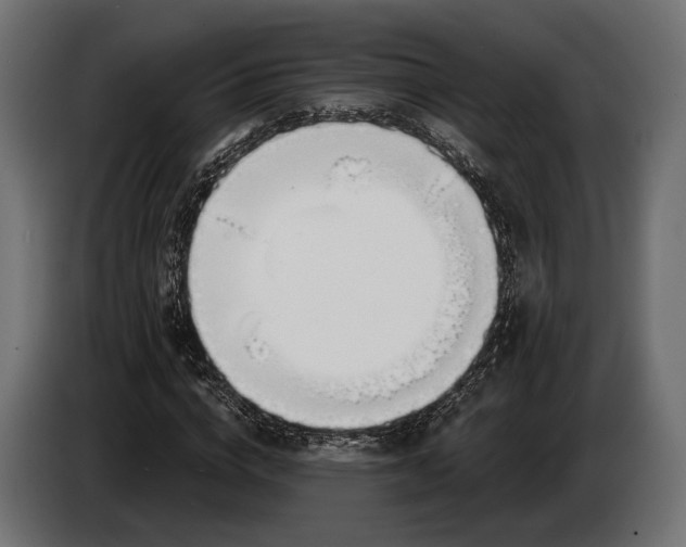 X0000083530824200703021550