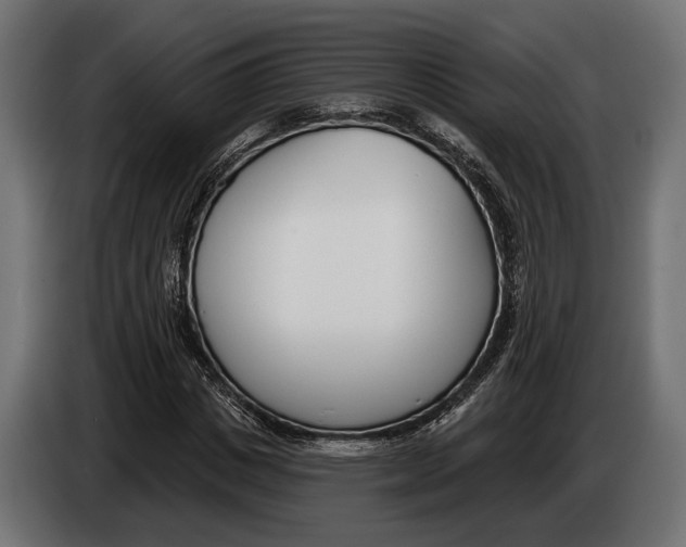 X0000083530825200703021550