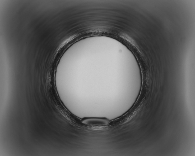 X0000083530826200703021550