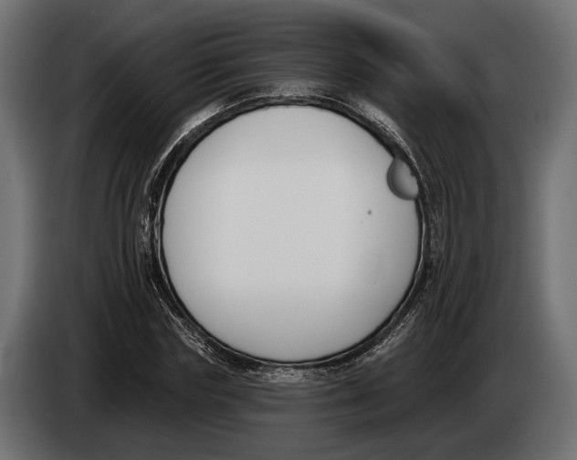 X0000083530827200703021550