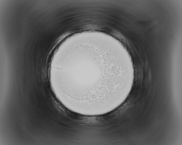 X0000083530828200703021550