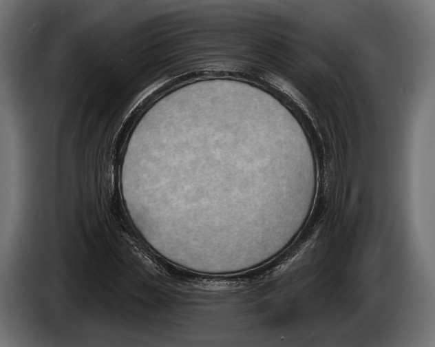 X0000083530829200703021550