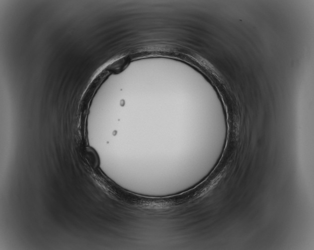 X0000083530830200703021550