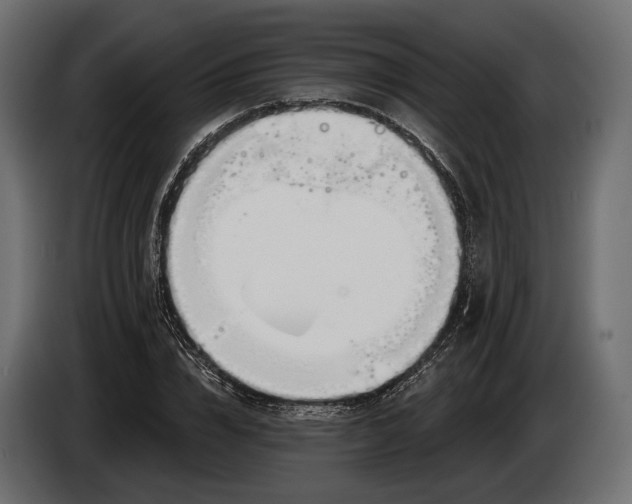 X0000083530832200703021550