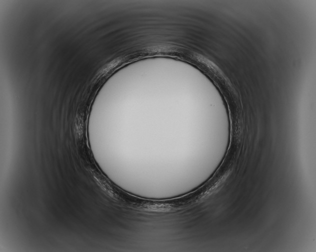 X0000083530833200703021550