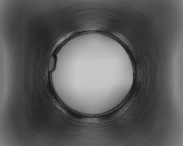 X0000083530834200703021550