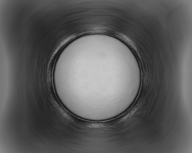 X0000083530835200703021550