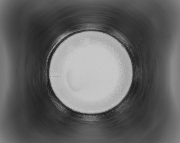 X0000083530836200703021550