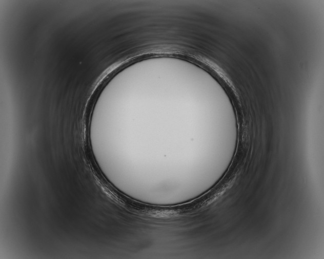 X0000083530837200703021550