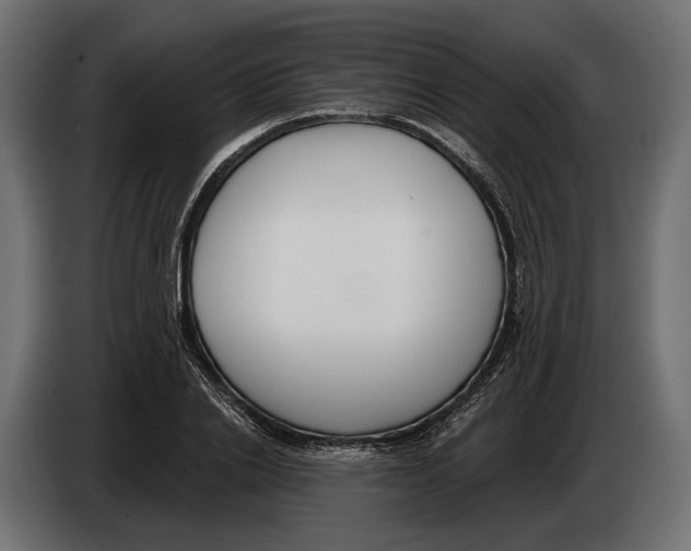 X0000083530838200703021550