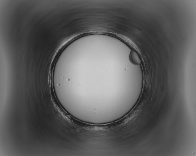 X0000083530839200703021550