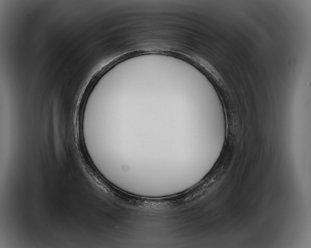 X0000083530840200703021550