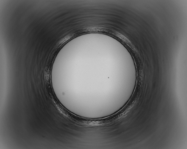 X0000083530841200703021550