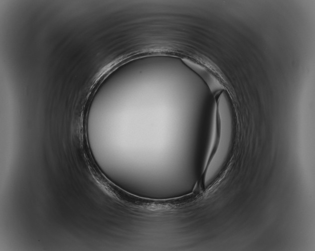 X0000083530842200703021550