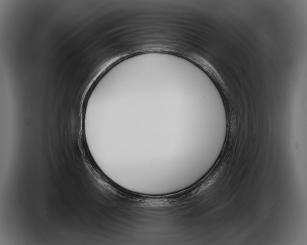 X0000083530844200703021550