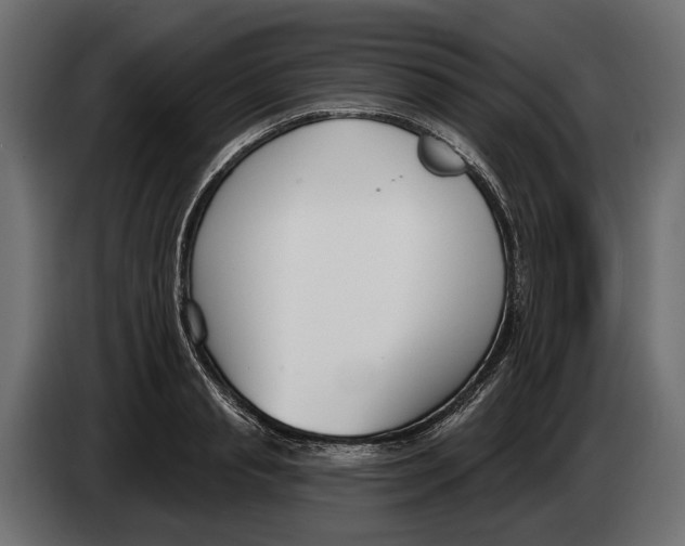 X0000083530845200703021550