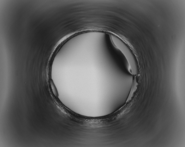 X0000083530846200703021550