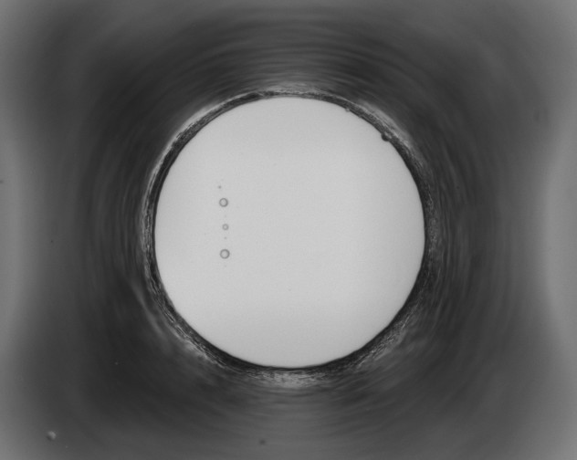 X0000083530848200703021550