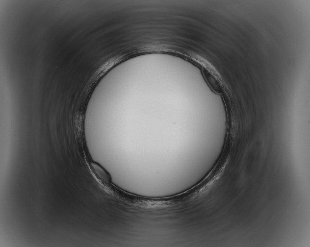 X0000083530849200703021550