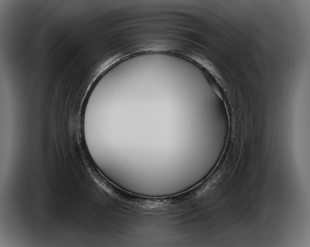 X0000083530850200703021550