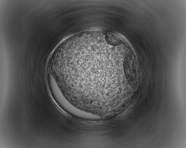 X0000083530851200703021550