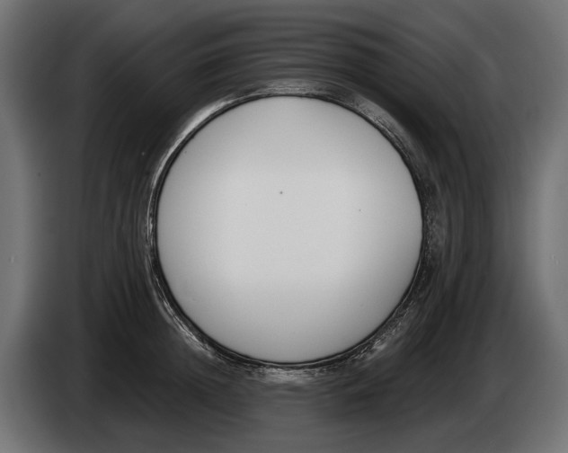 X0000083530852200703021550