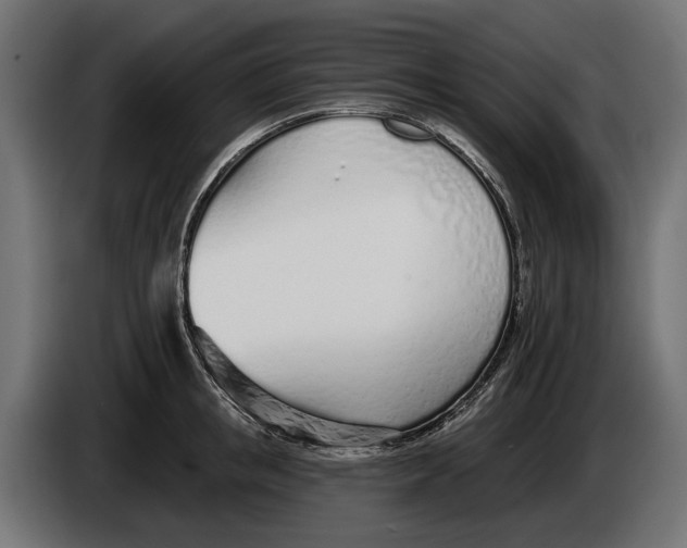 X0000083530853200703021550