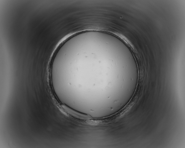 X0000083530854200703021550