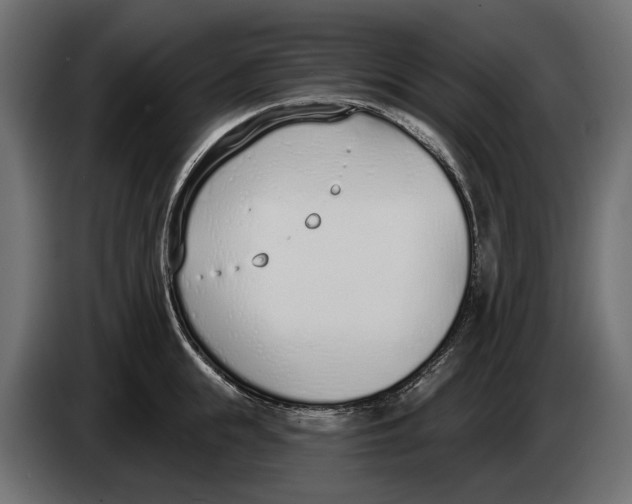 X0000083530855200703021550