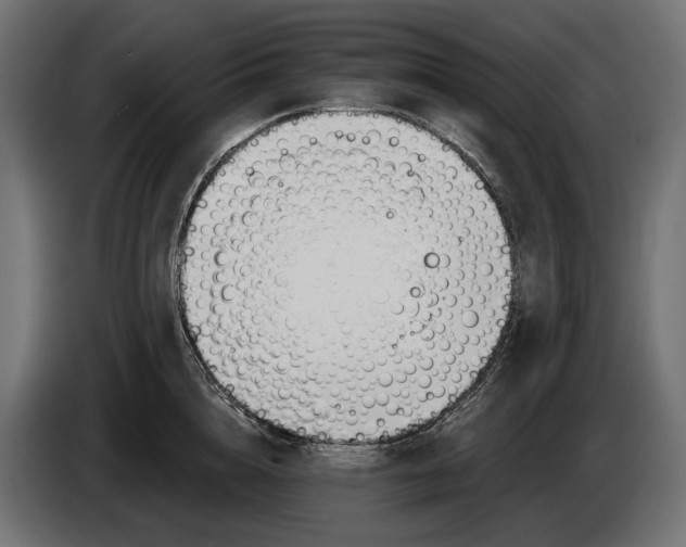 X0000083530856200703021550