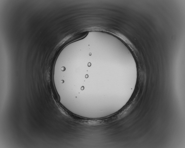 X0000083530857200703021550