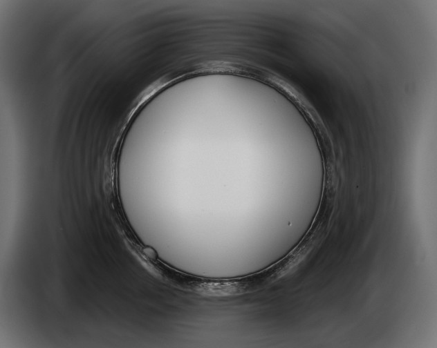 X0000083530858200703021550