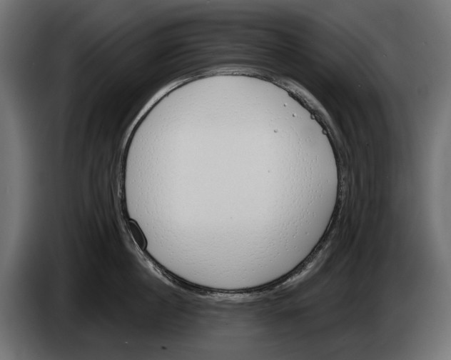 X0000083530860200703021550