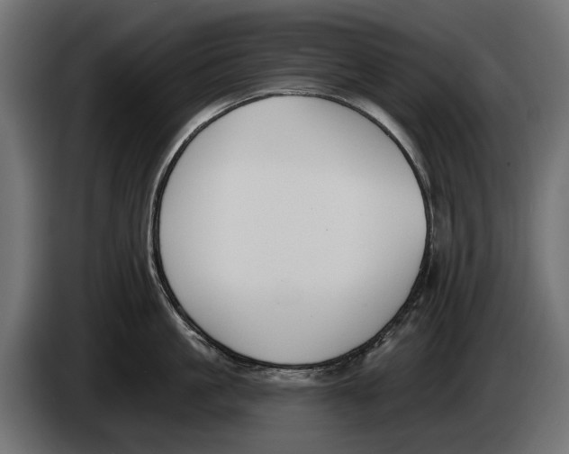 X0000083530861200703021550