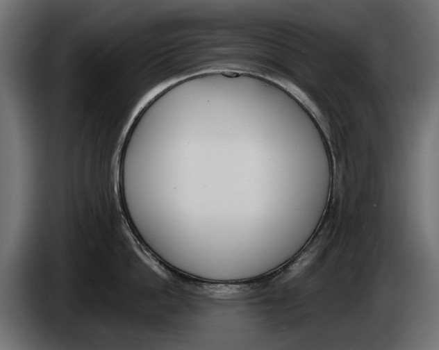 X0000083530862200703021550