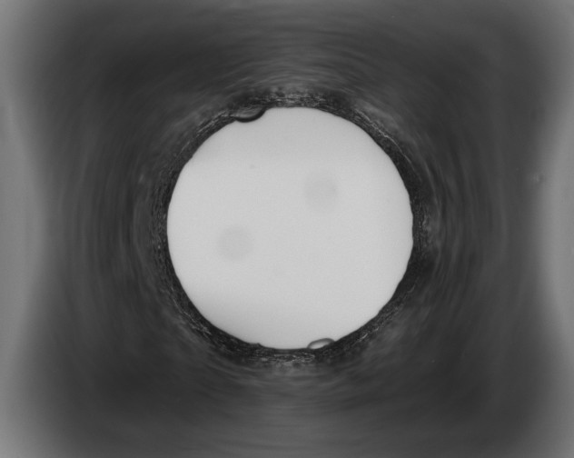 X0000083530865200703021550