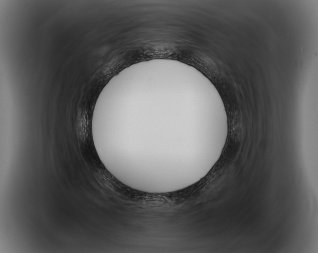 X0000083530866200703021550