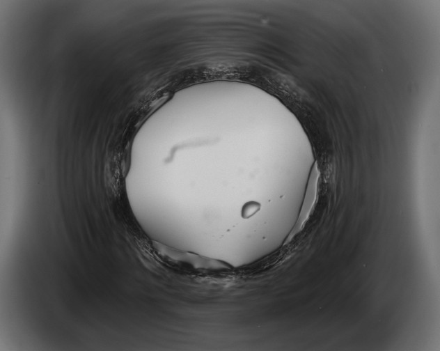 X0000083530868200703021550