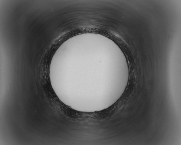 X0000083530870200703021549