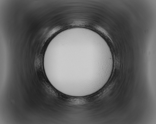 X0000083530874200703021549