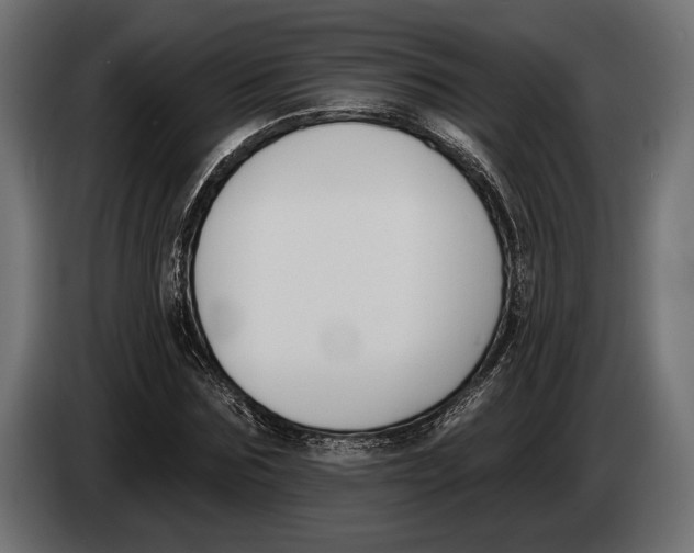 X0000083530875200703021549