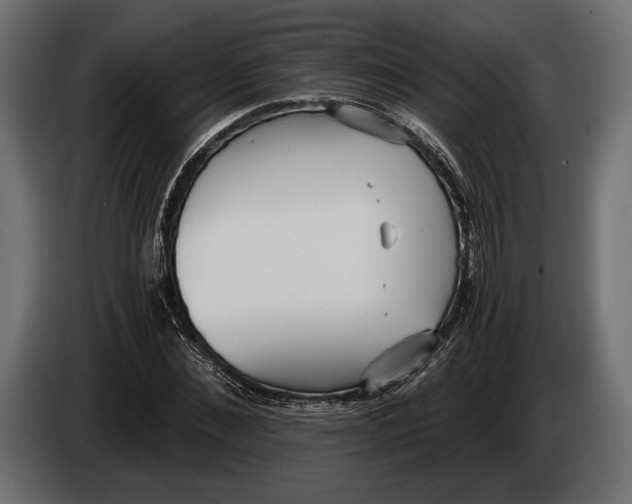 X0000083530876200703021549