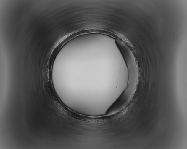 X0000083530877200703021549