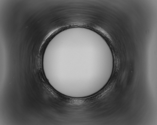 X0000083530878200703021549