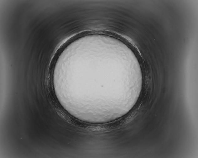 X0000083530879200703021549