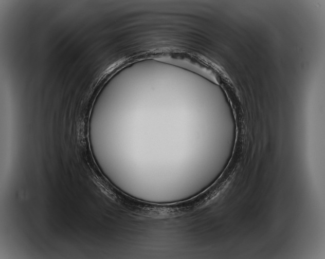 X0000083530881200703021549