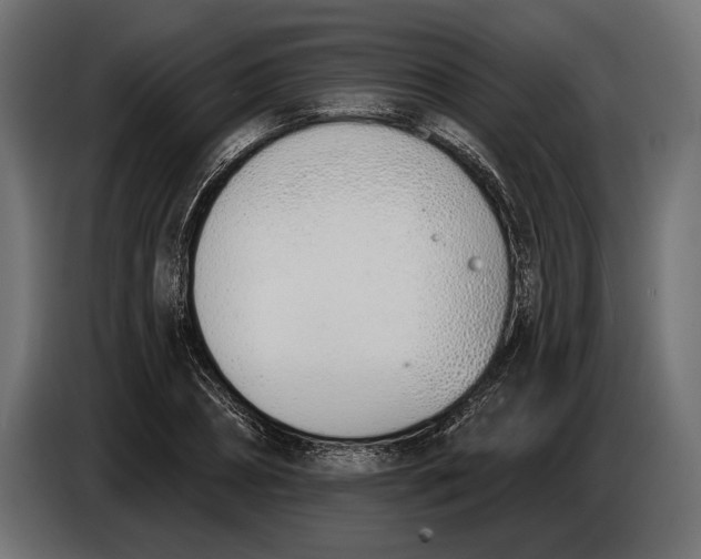 X0000083530882200703021549