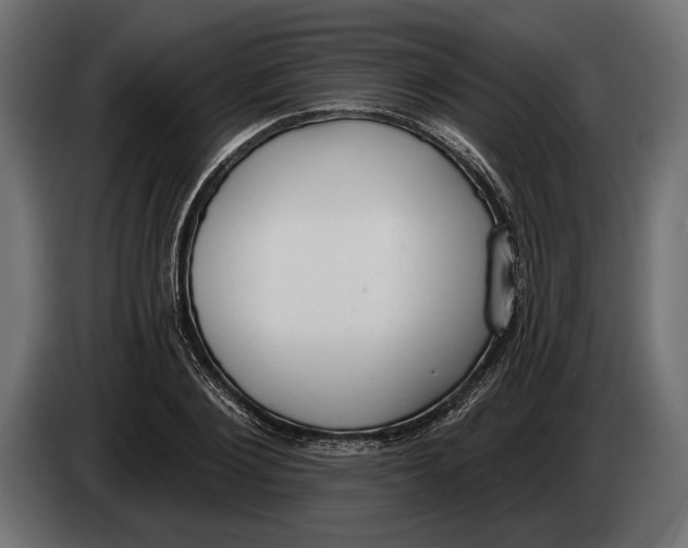 X0000083530884200703021549